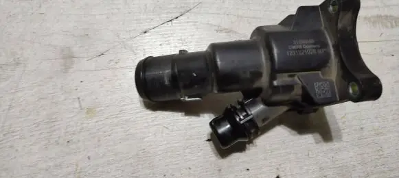 Thermostat/thermostat housing