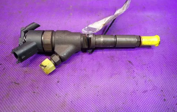 Peugeot 206 CC Fuel injector 0445110076
