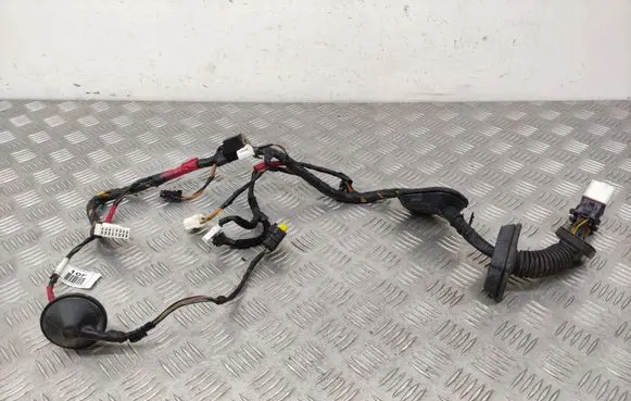 Hyundai i30 Front door wiring loom 916002L100