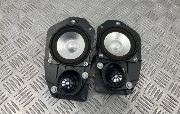 Panel speaker