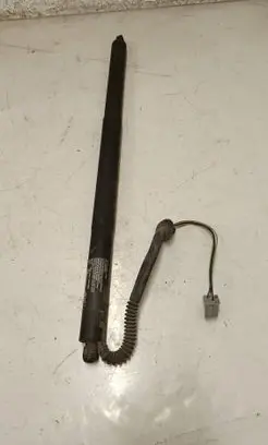 Tailgate/trunk strut/damper