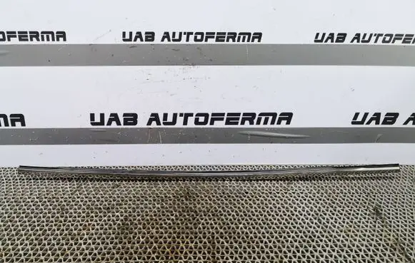 Renault Kadjar Rear door glass trim molding