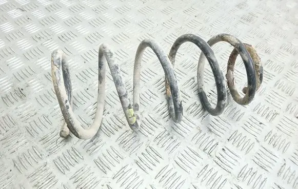 Seat Leon (1M) Front coil spring