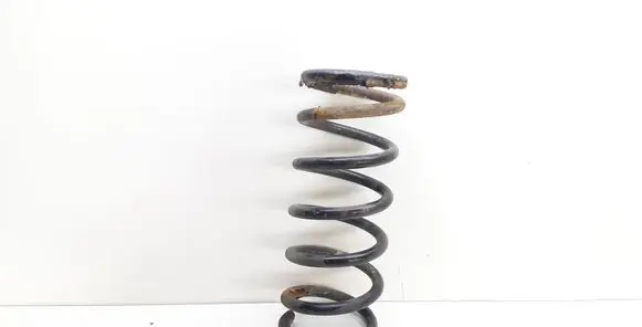 Opel Antara Rear coil spring