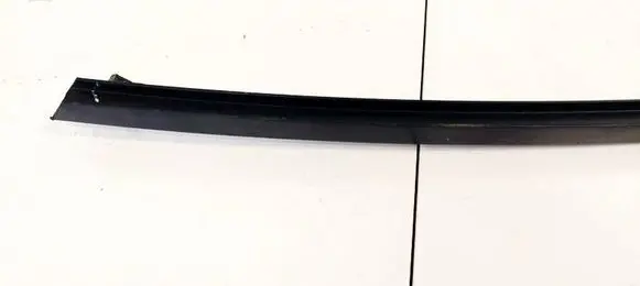 Renault Scenic II - Grand scenic II Front door glass trim molding 82574503106
