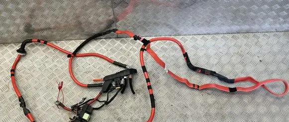 Audi A4 S4 B9 Other wiring loom DOAUDIA4B9 8W1971225AB