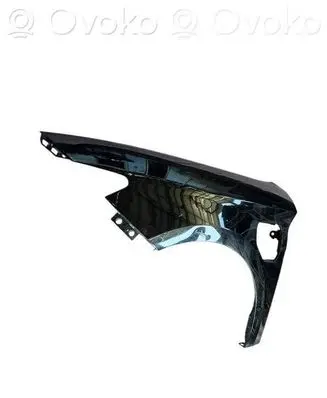 Cupra Leon Fender 5FA821115B