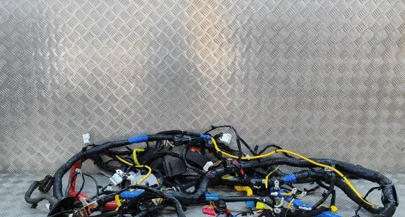 KIA EV6 Other wiring loom 91540CV300 915V0CV281