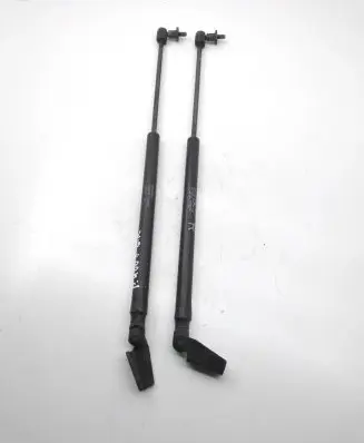 Tailgate/trunk strut/damper