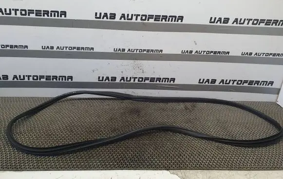KIA Rio Rubber seal front door (on door) 