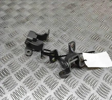Tailgate/trunk/boot hinge