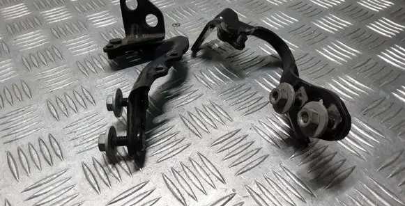 Tailgate/trunk/boot hinge