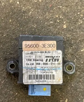 KIA Sorento Other control units/modules 956003E300