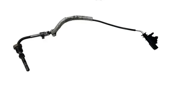 Volvo XC60 Exhaust gas temperature sensor 31319841
