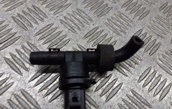 Skoda Octavia Mk2 (1Z) Valve vacuum 038806061