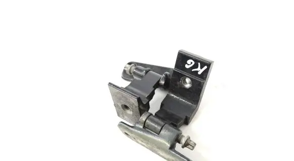 Rear door lower hinge