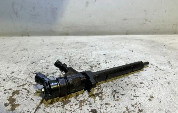 Citroen C5 Fuel injector 0445110297