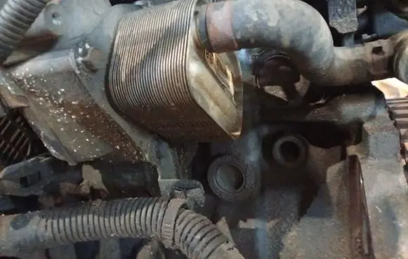 KIA Cerato Engine oil radiator