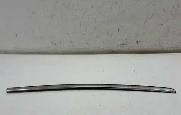 Ford Ecosport Rear door glass trim molding