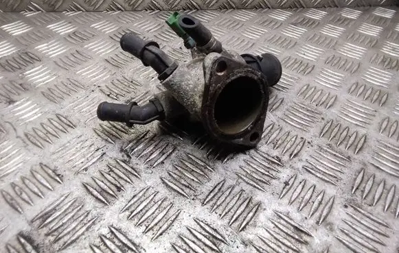 Thermostat/thermostat housing