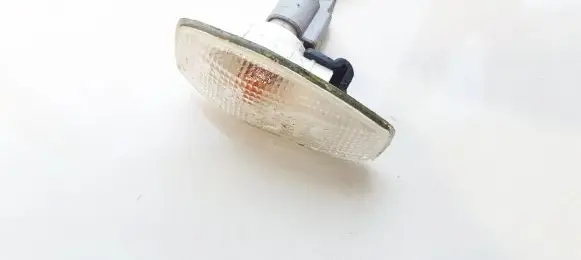 Front fender indicator light