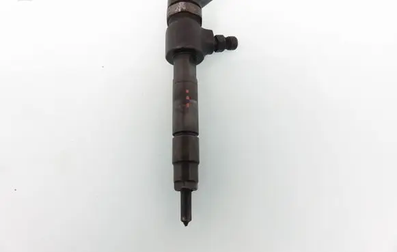 Fiat Punto (199) Fuel injector 0445110276