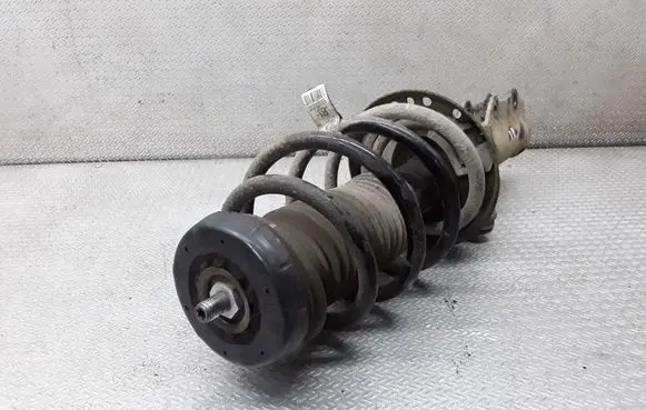 Chevrolet Orlando Front shock absorber with coil spring