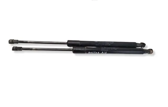 Dacia Duster II Tailgate/trunk strut/damper 904520004R