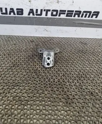 Nissan Qashqai Front door lower hinge 