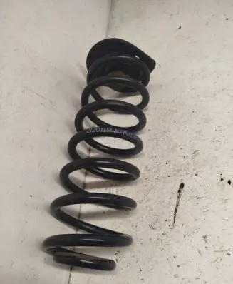 BMW 5 E39 Rear coil spring 2120119