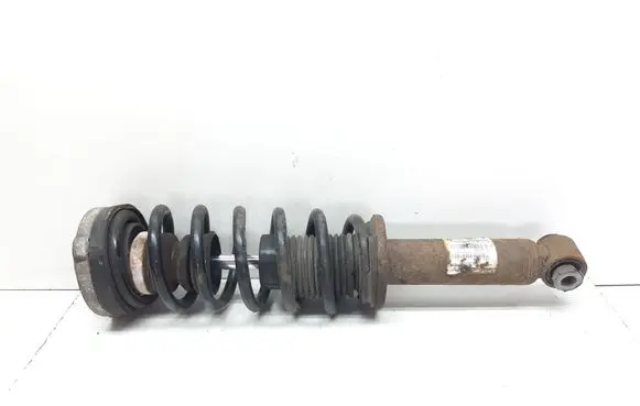 BMW X3 F25 Rear shock absorber with coil spring 6796317 33526796317