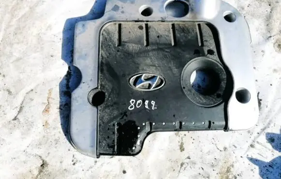 Hyundai Santa Fe Engine cover (trim)