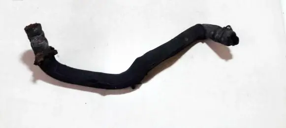 Citroen Berlingo Engine coolant pipe/hose