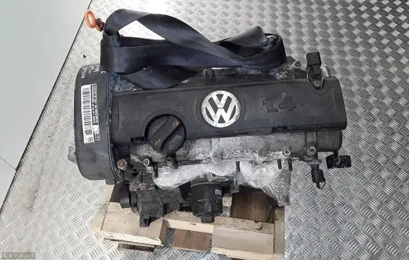 Volkswagen Golf VI Engine CGG