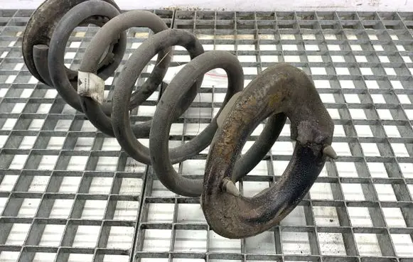 Tesla Model Y Rear coil spring 118847600B