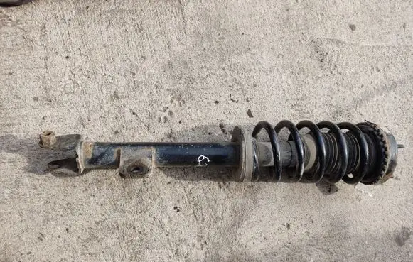 Chrysler 300 - 300C Front shock absorber with coil spring 04895627AB
