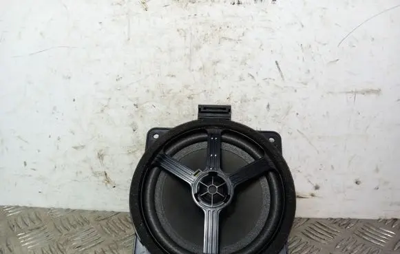Rear door speaker
