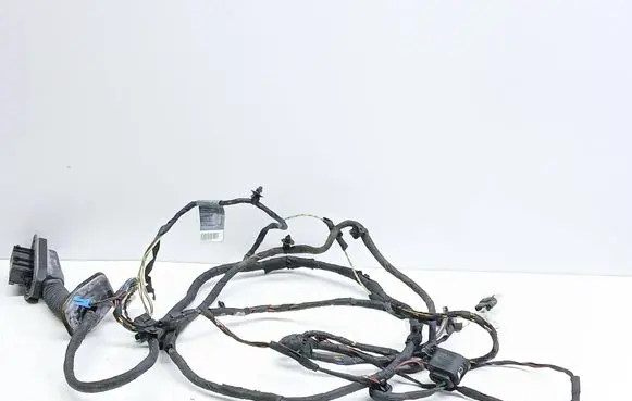 BMW 5 F10 F11 Front door wiring loom 9240851
