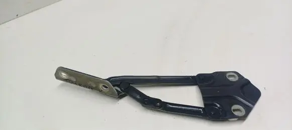 Volkswagen Touran II Engine bonnet/hood hinges 110823301