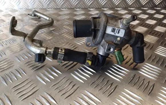 Thermostat/thermostat housing