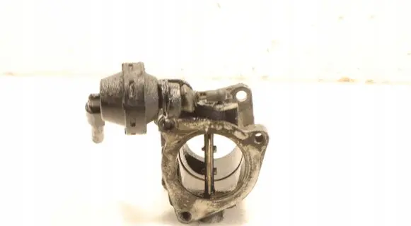 Throttle body valve