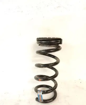 Ford Mustang VI Rear coil spring