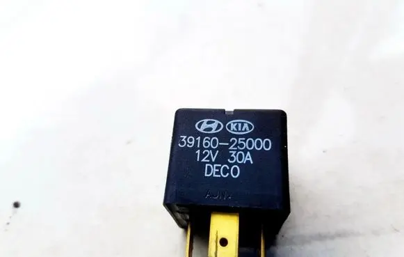 Hyundai Sonata Other relay 3916025000