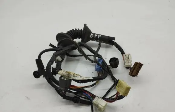 Front door wiring loom