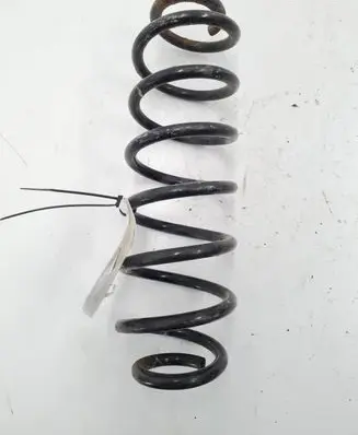 Skoda Roomster (5J) Rear coil spring 1J0511115CF