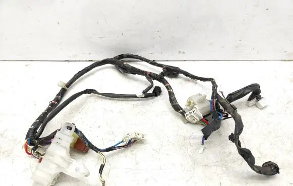 Toyota Previa (XR30, XR40) II Tailgate/trunk wiring harness 8218428190