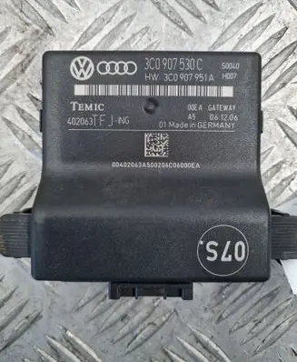 Volkswagen PASSAT B6 Gateway control module 3C0907530C