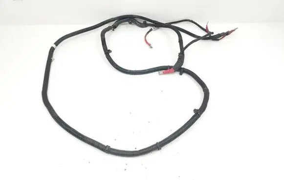 Other wiring loom