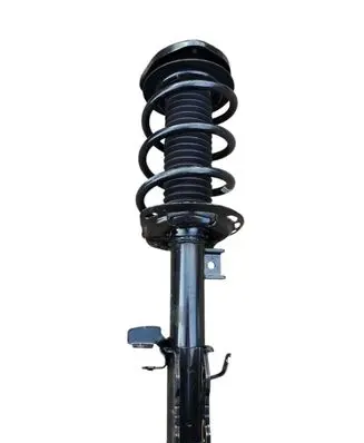 Front shock absorber with coil spring