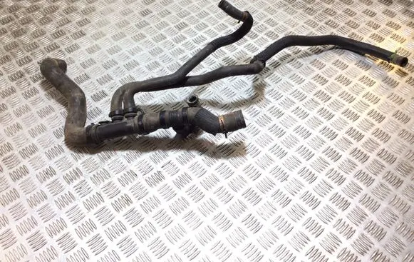 Renault Laguna III Engine coolant pipe/hose 215034065R